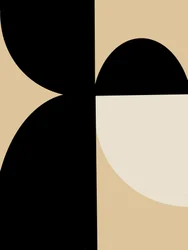 Abstract Geometric Curves