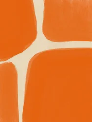 Abstract Orange Forms