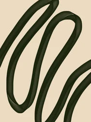 Fluid Green Curves