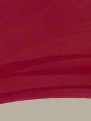 Maroon Color Field