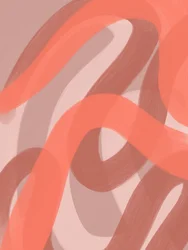 Warm Abstract Curves