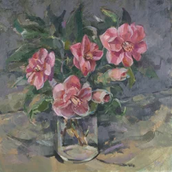 Camelias
