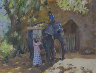 Elephant, Sri Lanka