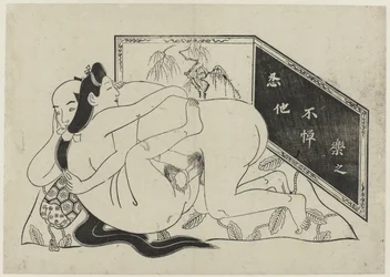 Erotic Representation