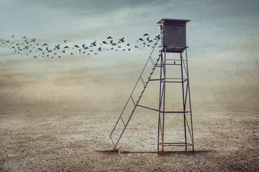 Birds Over Lone Watchtower