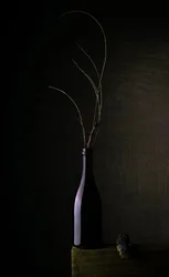 Dark Bottle Still Life