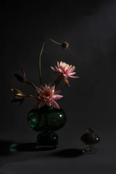 Elegant Pink Lilies