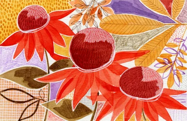 Colorful Autumn Blooms