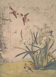 Birds and Narcissus