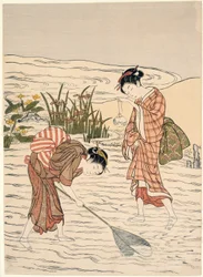Fishing in Shallow Water