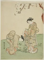 Gathering Spring Flowers