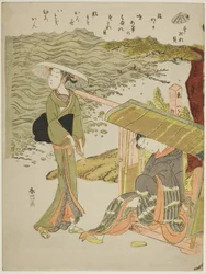 The Bamboo-Blind Shell, from an untitled series of shells
