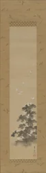 Egrets