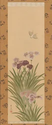 Irises and Moth