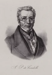 Augustin Pyramus de Candolle, Swiss botanist