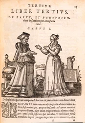 Nurse tending to a patient with a wounded hand, from De Concepta et Generatione Hominis by Jakob Ruf, 1587