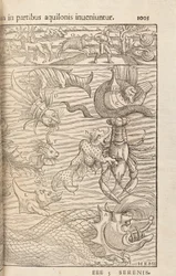 Page 1005 from Cosmographiae Universalis by Sebastian Muenster, Basel, 1572