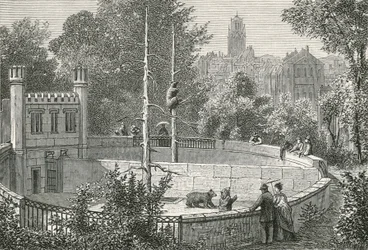 The Bear-Pit at Bern