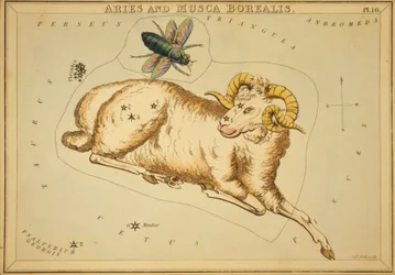 Aries and Musca Borealis, Illustration from 