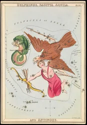 Delphinus, Sagitta, Aquila and Antinous