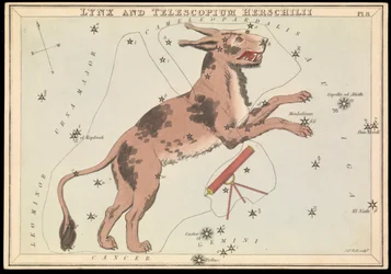 Lynx and Telescopium Hereschilii, c.1825