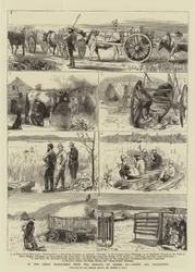 In the Great North-West with the Marquis of Lorne, XI, Farms and Freighters