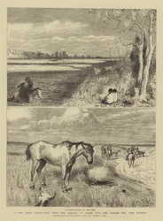 To the Great North-West with the Marquis of Lorne, XVII, the Prairie and The Rockies