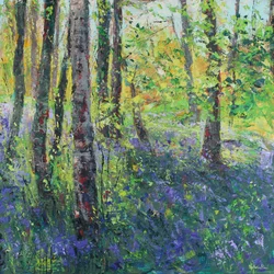 Birch Trees and Bluebells