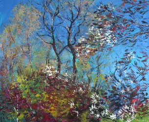 Blossom and Blue Sky