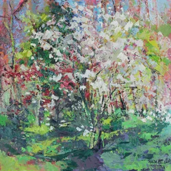 Blossom in the Wood