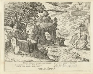 Shipwreck