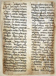 Text page from Pentateuch. (Genesis, Exodus, Numbers, Deuteronomy), 464