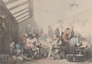 The Dissecting Room