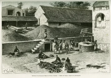 Inside the factorerie Maurel and Prom, in Boulam, collates and processing peanuts, palm almond and rubber. Engraving after a photograph, to illustrate the story Voyage dans la Senegambie et la Guinee portuguese, in 1888, by Captain A.Brosselard.
