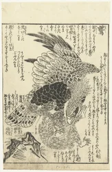 Eagle with Monkey in Its Claws
