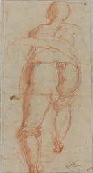 A Man Seen from Behind