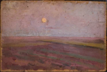 Lily Landscape