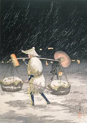 Night Snow