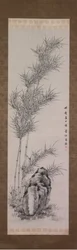 Bamboo in Summer