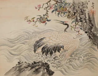 Flowers and Birds