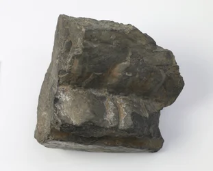 Fragment of a Lotus Pedestal