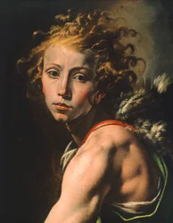 Figure of David (detail)