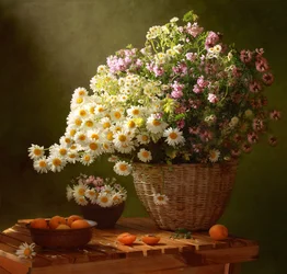 Summer Daisies and Apricots