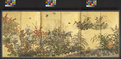 Flowers And Butterflies