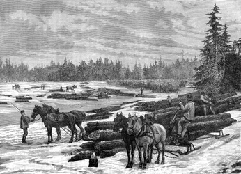Canadian loggers, 19th century