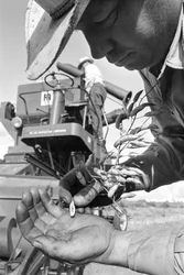 Family farmer Ed Ker at A.M. Ker Ranch is an agricultural homesteader growing alfalfa