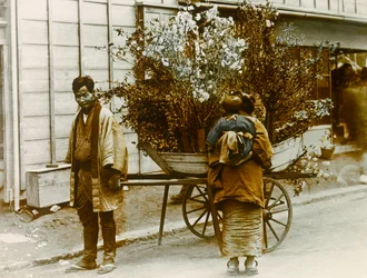 Itinerant Flower Seller in the Streets of Tokyo, circa 1900 - 1915
