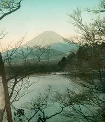 View of Mount Fuji from Lake Shoji, circa 1900 - 1915