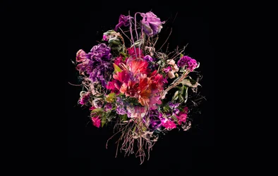 Bouquet VIIII, 2018