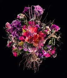 Bouquet Purple, 2017
